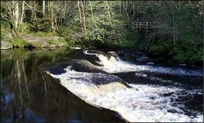 The River Roe in the Roe Valley Country Park